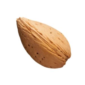 almond-biscotti