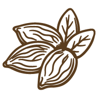 Almond biscotti cookies with whole almonds