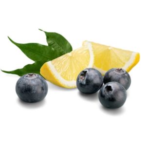 blueberry-lemon-biscotti