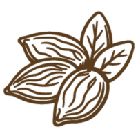 gluten-free-artisanal-almond-biscotti-icon-200x200