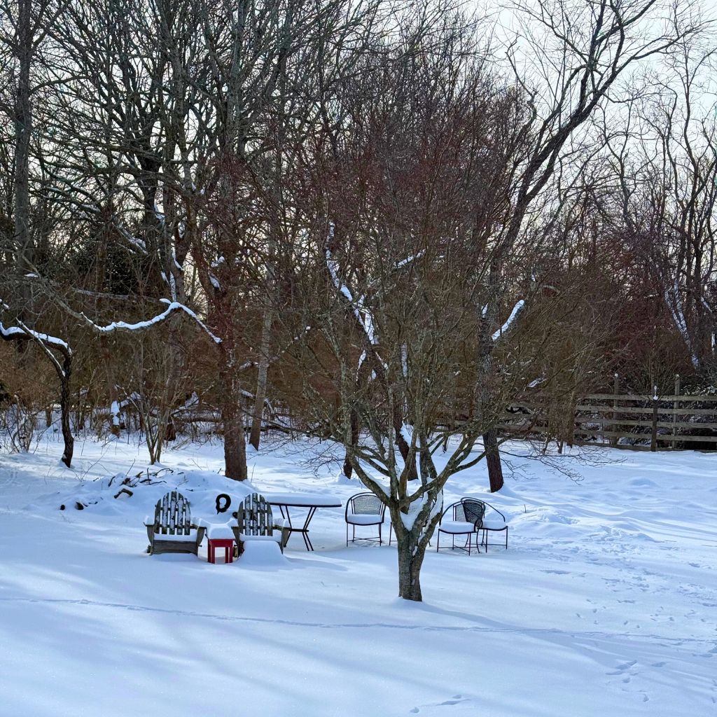 snowy Long Island backyard with two Adirondack chairs and trees